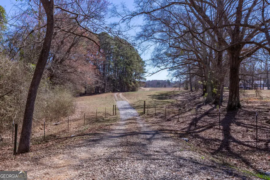 605 Rowe Road, Senoia, GA 30276 - #3