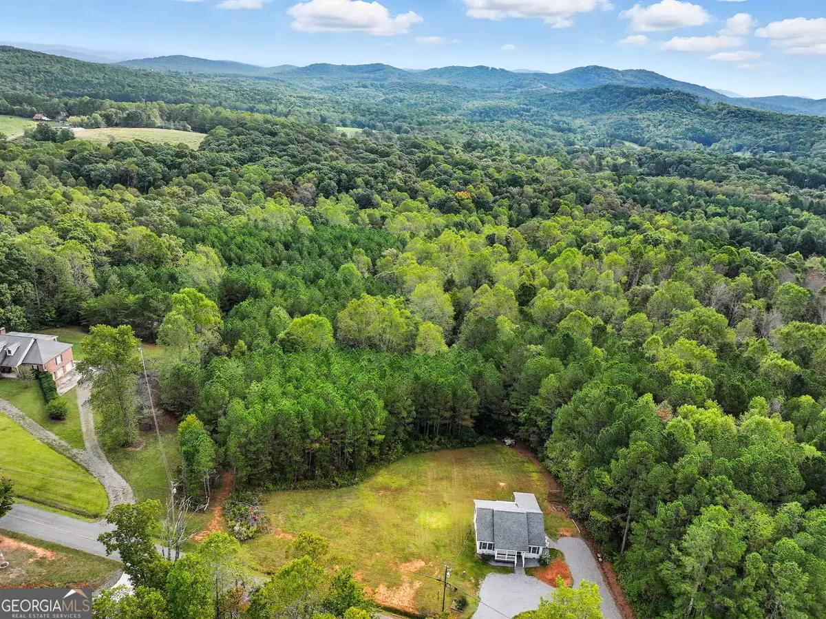 0 Old Pleasant Valley Road, Talking Rock, GA 30175 - #1