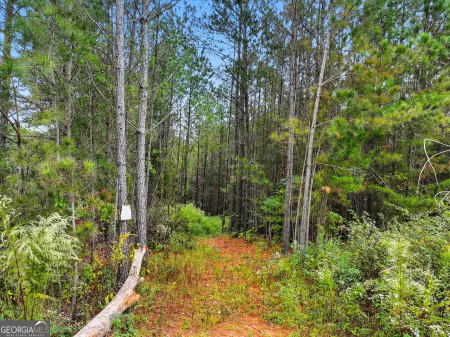 0 Old Pleasant Valley Road, Talking Rock, GA 30175 - #2