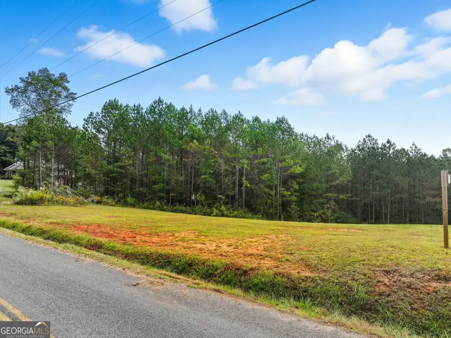 0 Old Pleasant Valley Road, Talking Rock, GA 30175 - #3