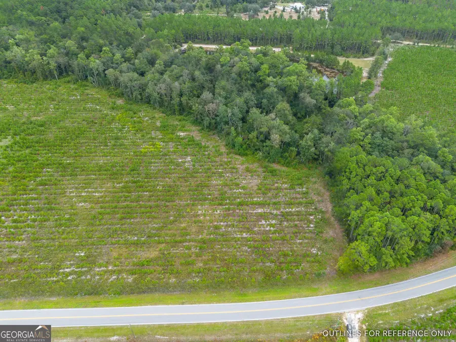 TRACT 1 River Road, Folkston, GA 31537 - #2
