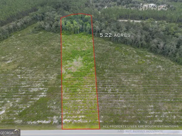 TRACT 5 River Road, Folkston, GA 31537