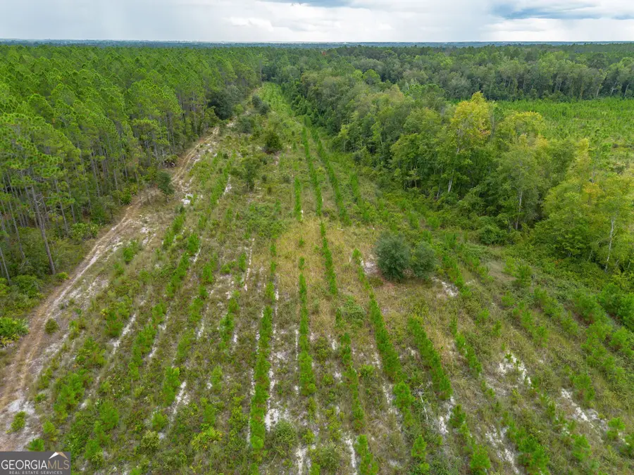 TRACT 7 River Road, Folkston, GA 31537 - #3