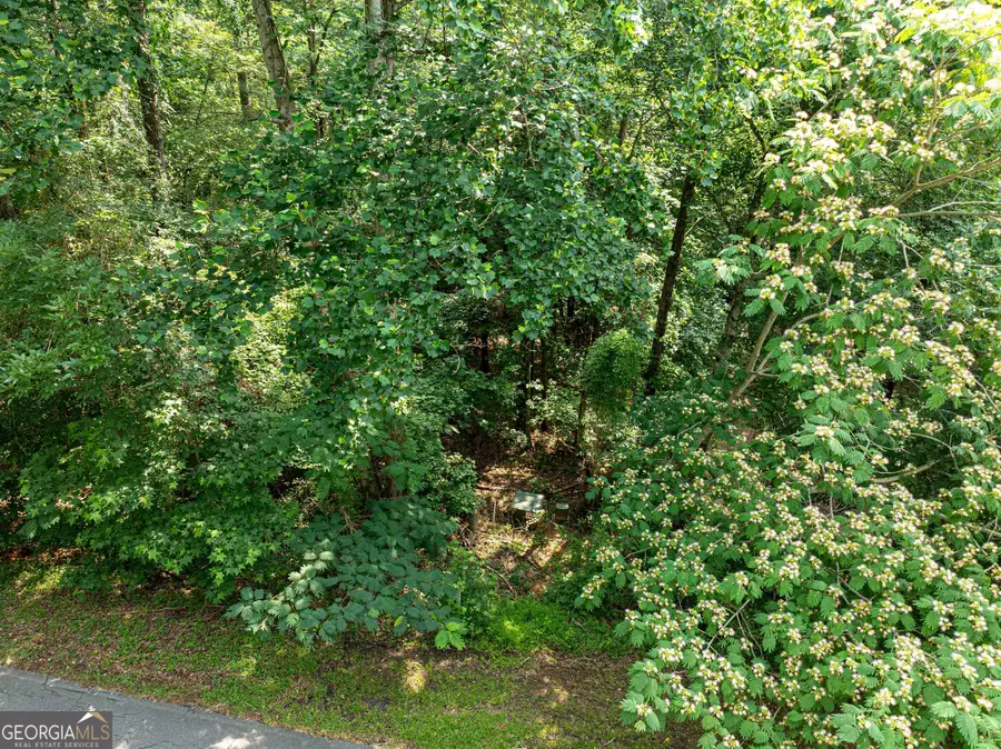 LOT 076 Cardinal Drive, Monticello, GA 31064 - #2