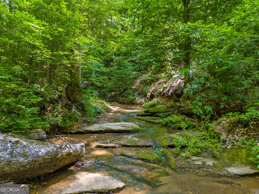 100 AC Mockingbird Lane, Jasper, GA 30143 - #2