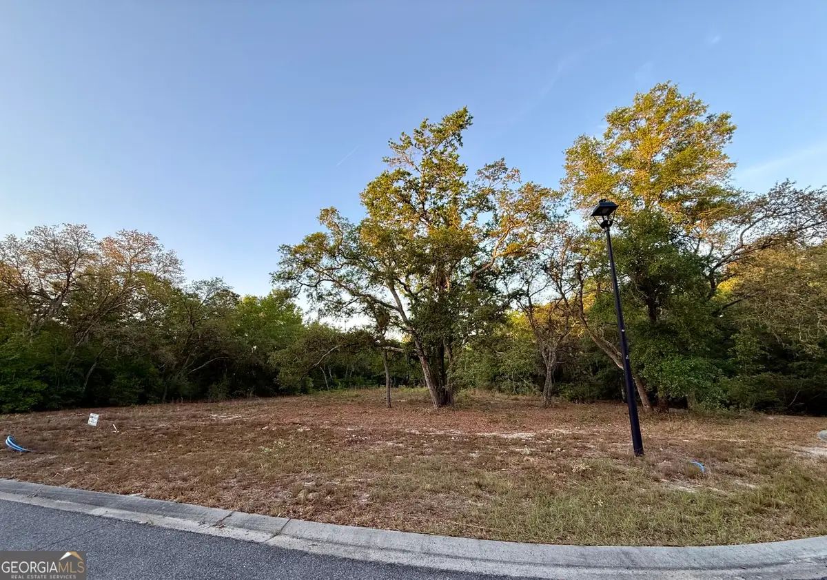 6005 & 6007 Tree Top Lane, Blackshear, GA 31516 - #1