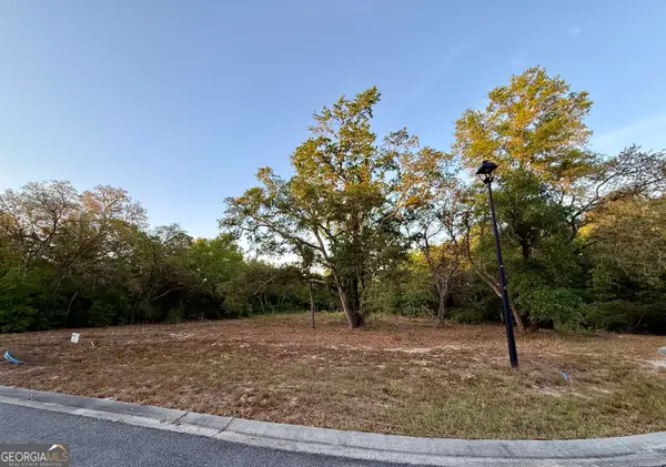 6005 & 6007 Tree Top Lane, Blackshear, GA 31516