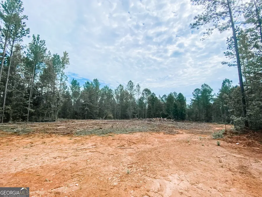 0 Weaver Jones Road, Rutledge, GA 30663 - #2