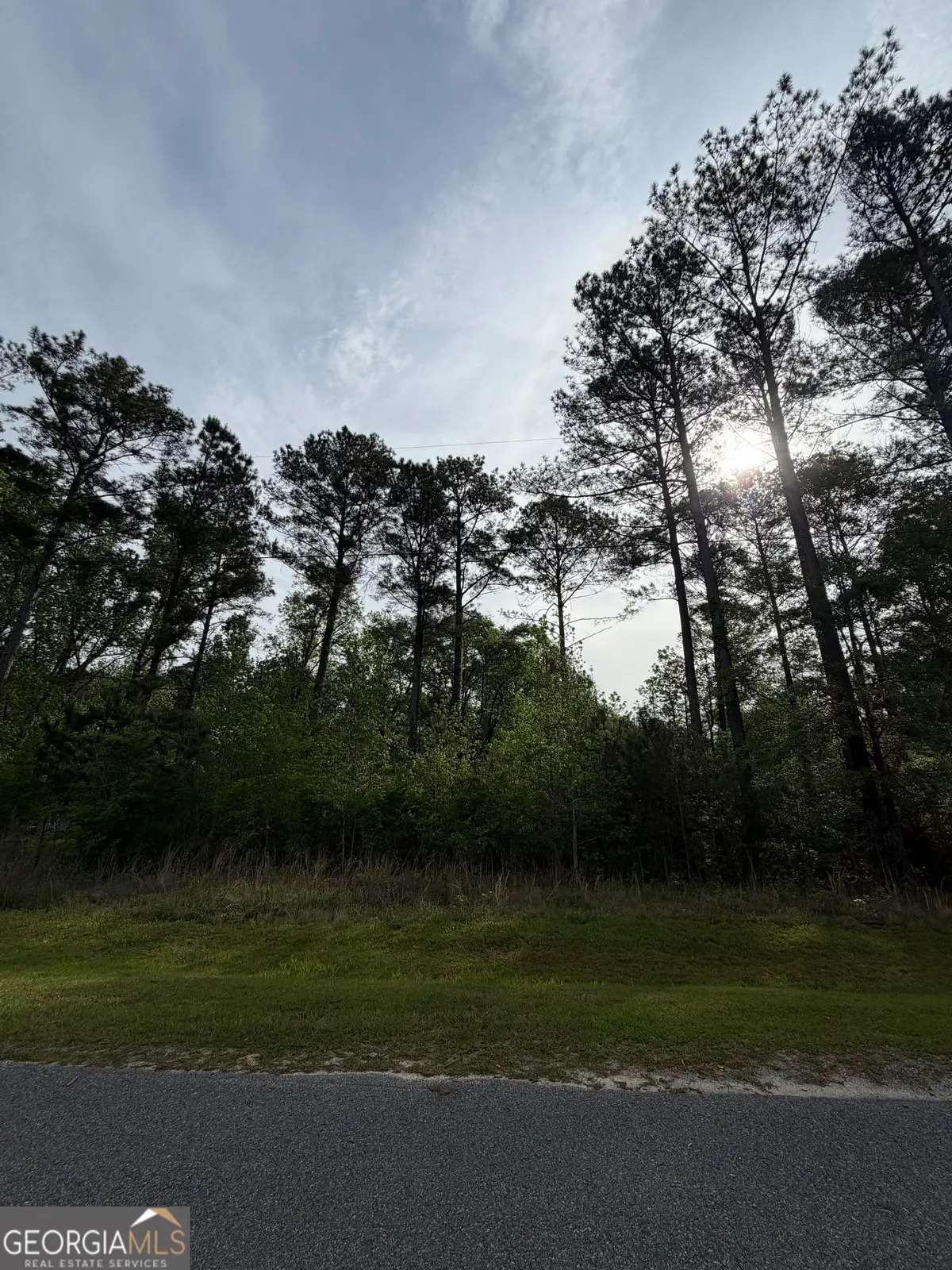 0 Brower Court, Dublin, GA 31021 - #1