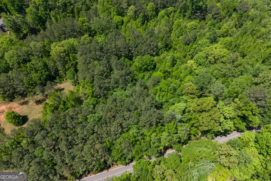 0 Post Road, Shady Dale, GA 31085 - #2