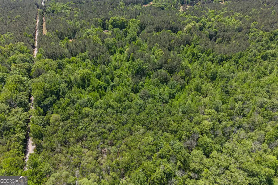 0 Post Road, Shady Dale, GA 31085 - #3