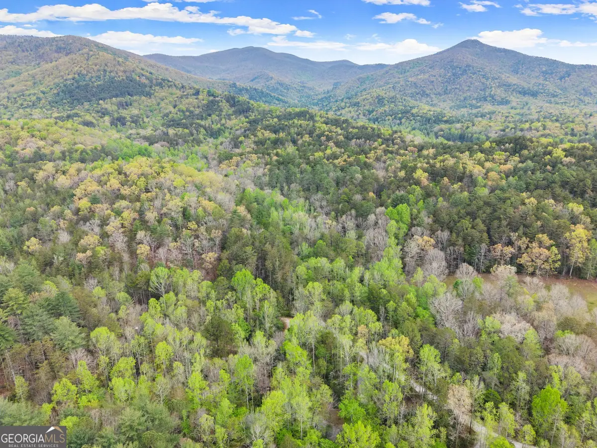 0 S Fern Cove Road, Sautee Nacoochee, GA 30571 - #1