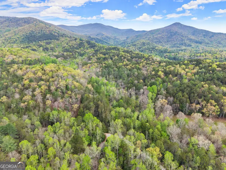 0 S Fern Cove Road, Sautee Nacoochee, GA 30571 - #3