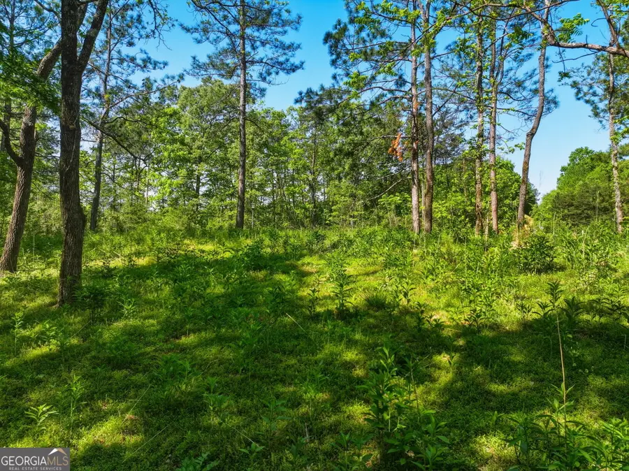 LOT 2 Summit Drive, Dahlonega, GA 30533 - #3