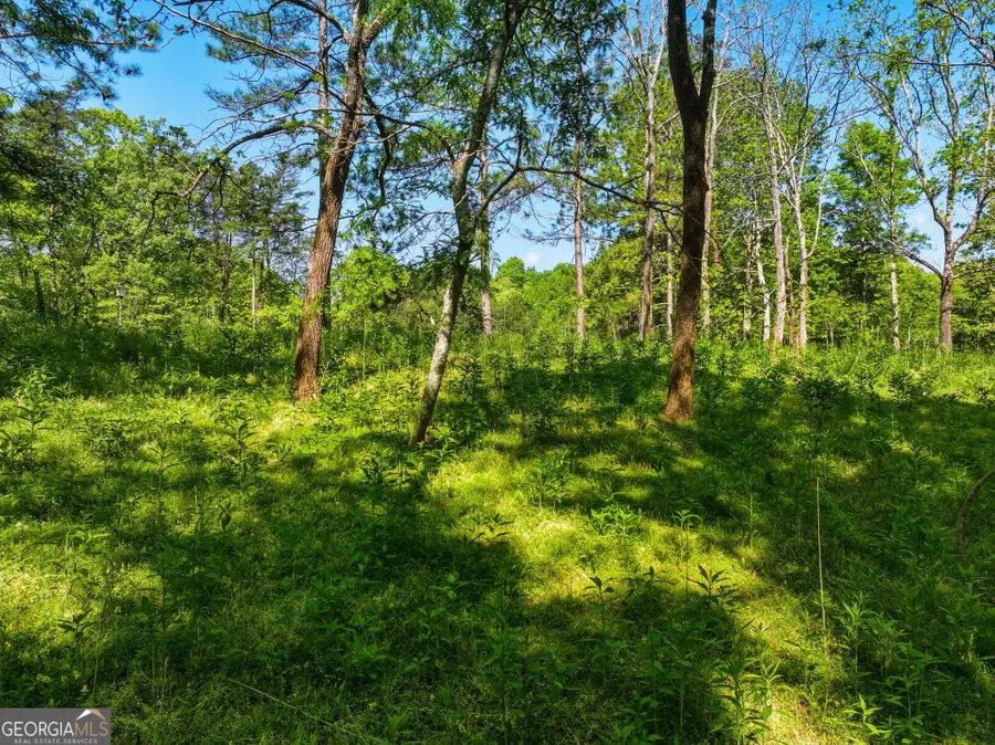 LOT 3 Summit Drive, Dahlonega, GA 30533 - #2