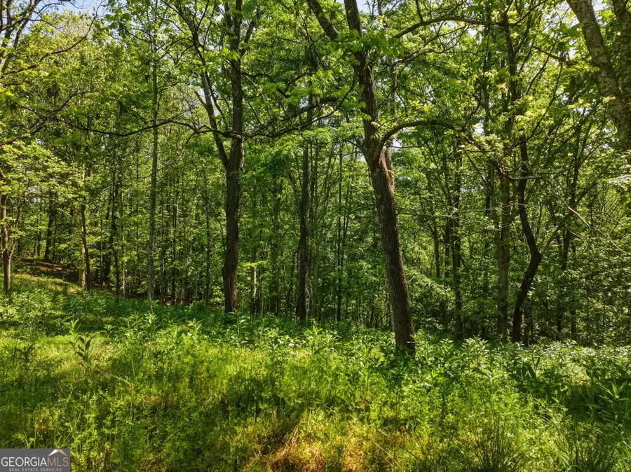 LOT 3 Summit Drive, Dahlonega, GA 30533 - #3