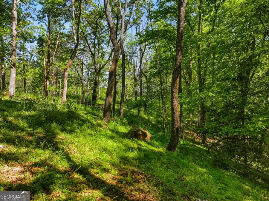 LOT 4 Summit Drive, Dahlonega, GA 30533 - #3