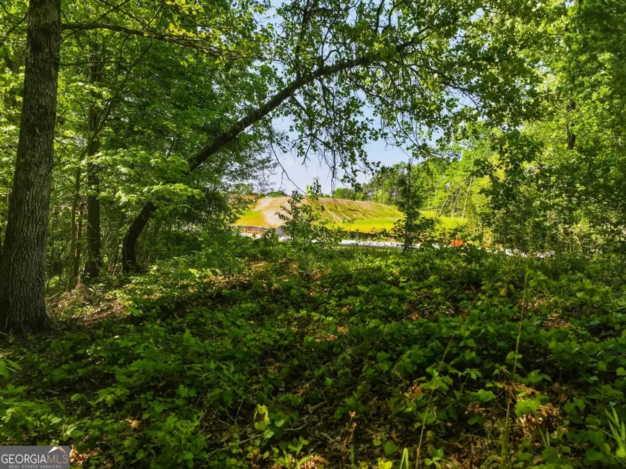 LOT 7 Summit Drive, Dahlonega, GA 30533 - #3