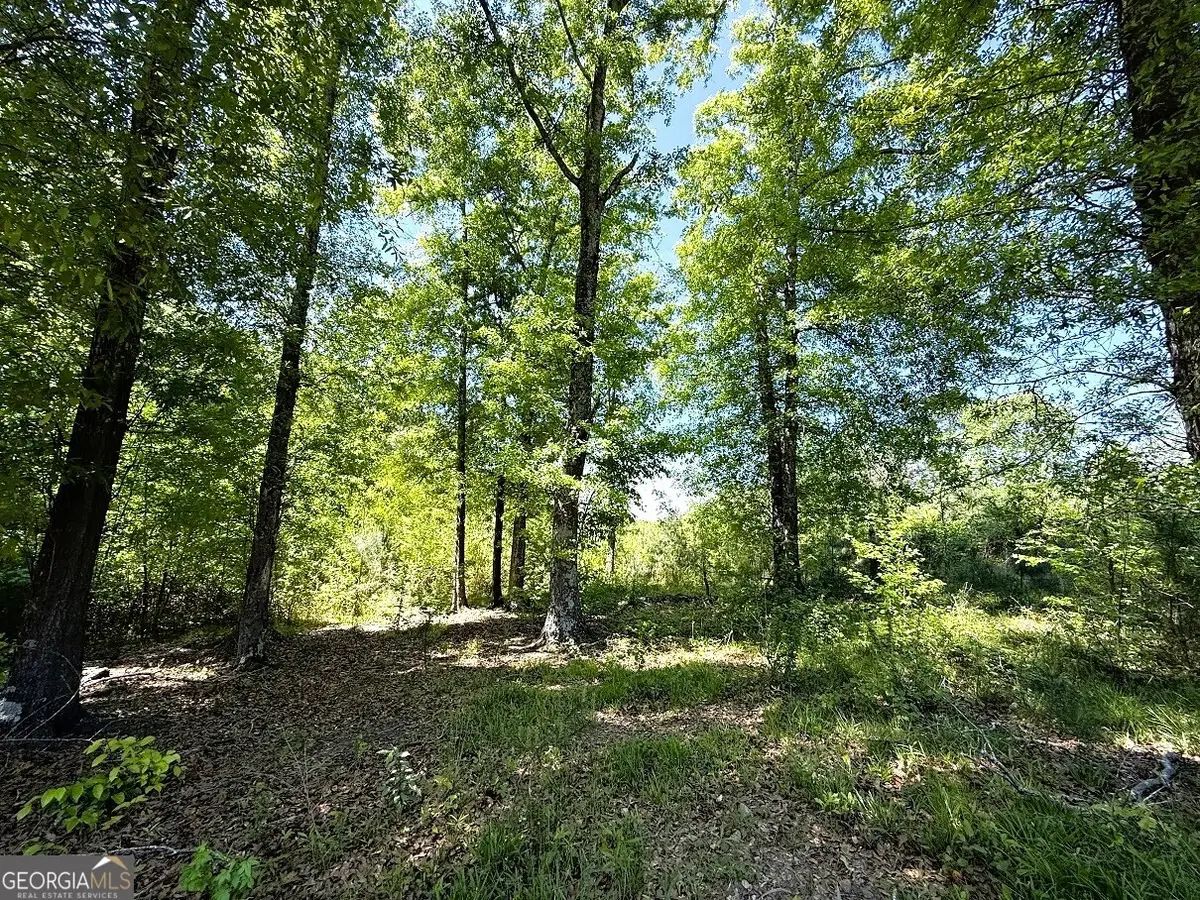 752 Old Mineral Springs Road, Elberton, GA 30635 - #1