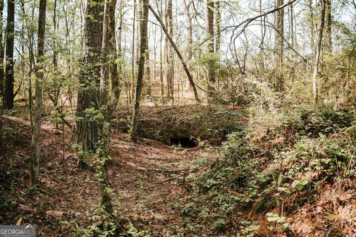 0 Union Point Road, Stephens, GA 30667 - #1