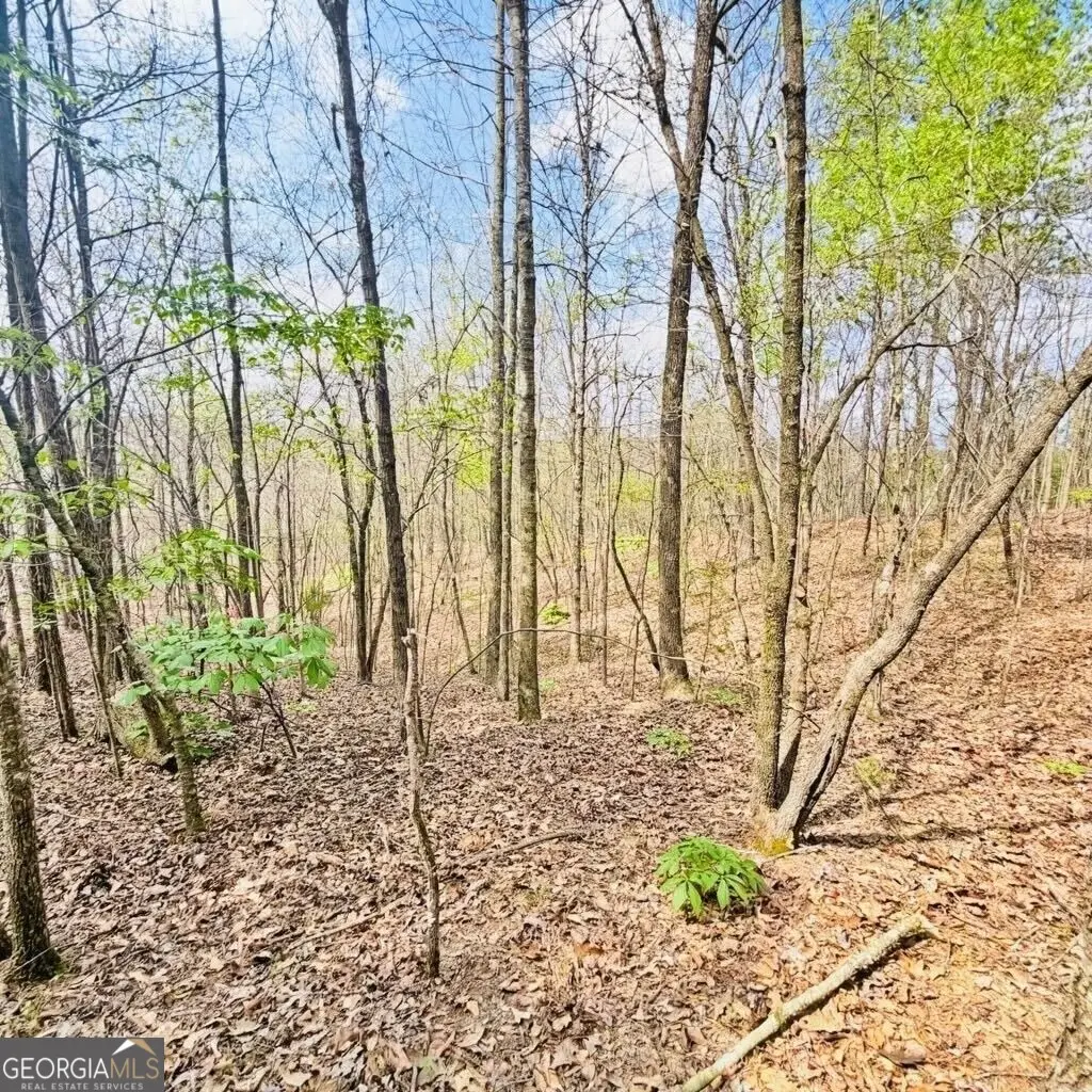 0 T Johnson Road, Ranger, GA 30734 - #1