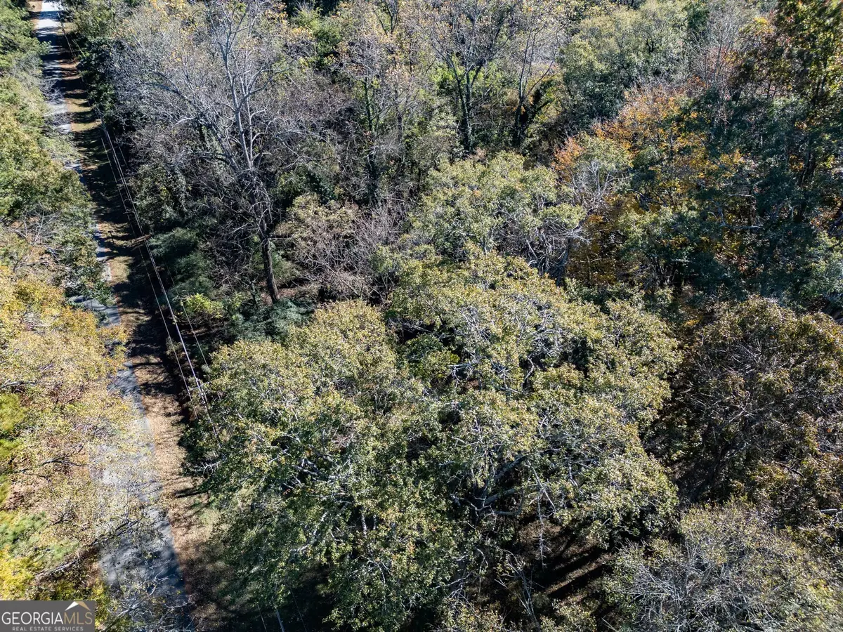 405 W Richardson Street, Oxford, GA 30054 - #1