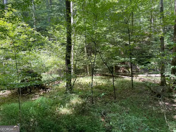 LOT 223 Bowline Drive #223, Ellijay, GA 30540