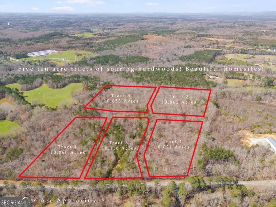 TRACT5 Georgia Highway 100, Buchanan, GA 30113 - #2