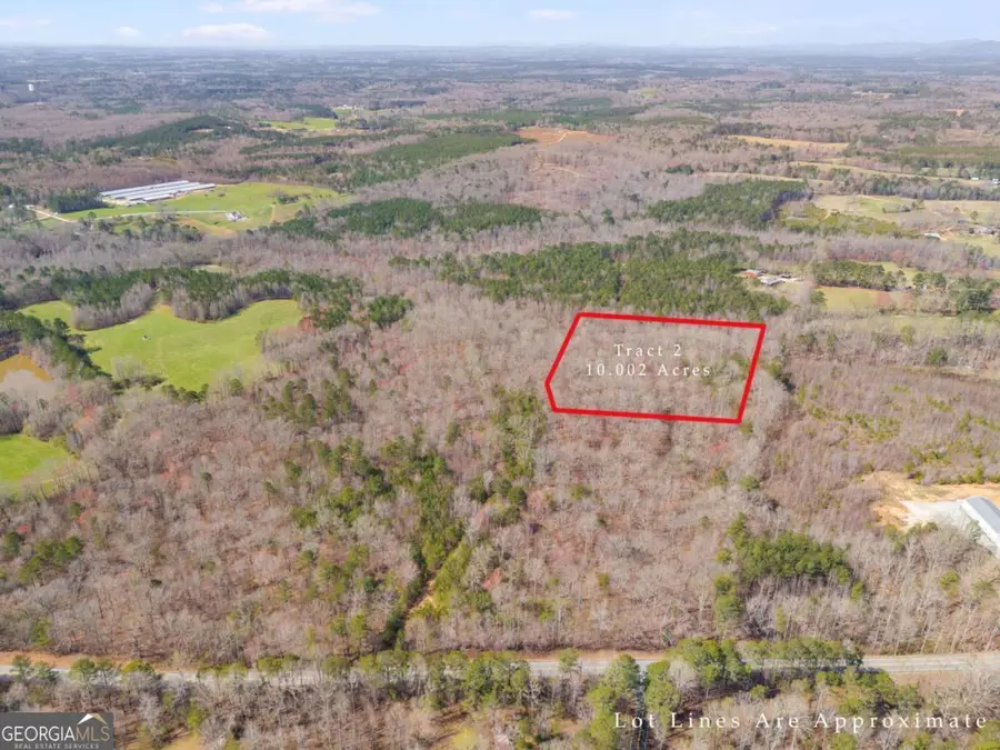 TRACT5 Georgia Highway 100, Buchanan, GA 30113 - #3