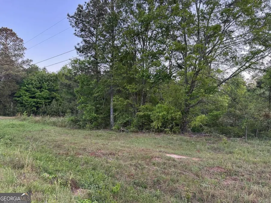 0 Sandy Flat Road, Bowdon, GA 30108 - #2