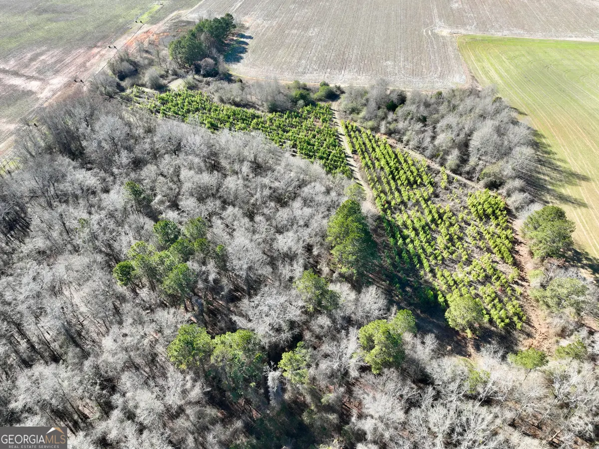 0 Jenkins Farm Road, Byromville, GA 31007 - #1