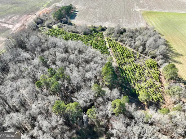 0 Jenkins Farm Road, Byromville, GA 31007