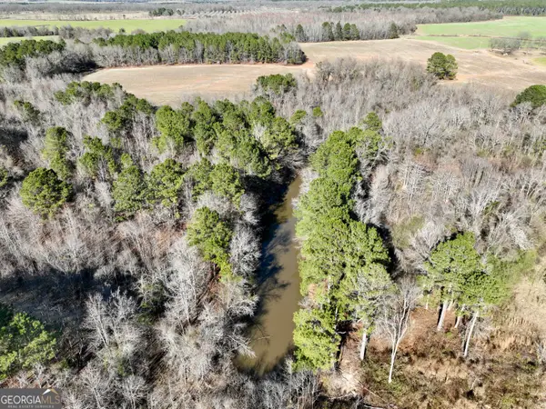 0 Jenkins Farm Road, Byromville, GA 31007