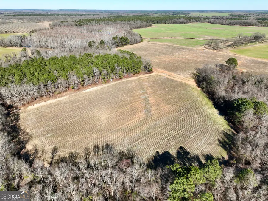 0 Jenkins Farm Road, Byromville, GA 31007 - #2