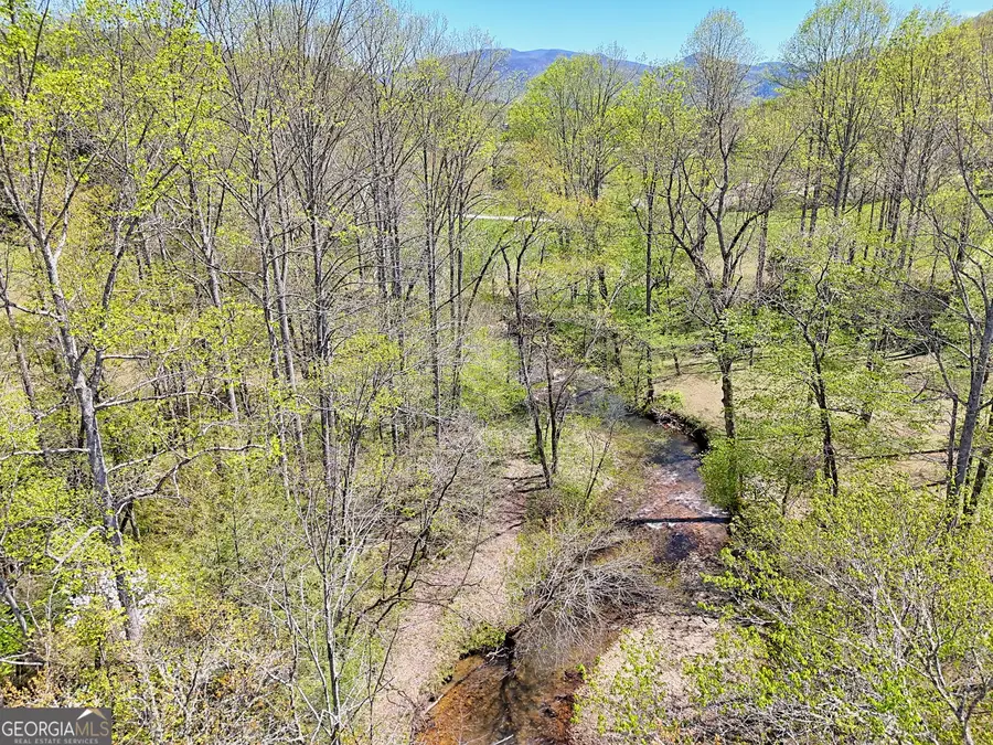 1067 O V Justus Road, Rabun Gap, GA 30568 - #3