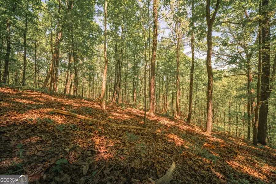 0 Hancock Mountain Trail, Waleska, GA 30183 - #2