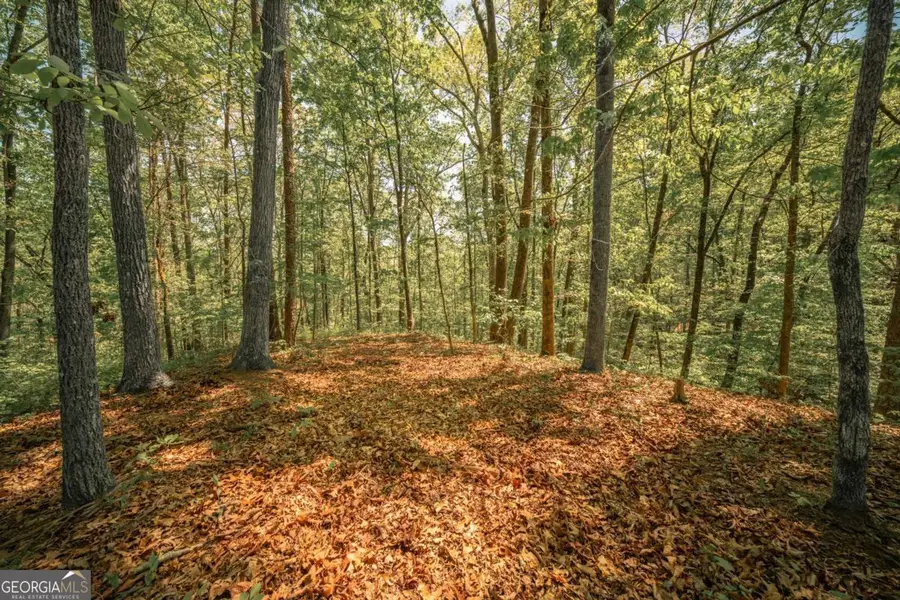 0 Hancock Mountain Trail, Waleska, GA 30183 - #3