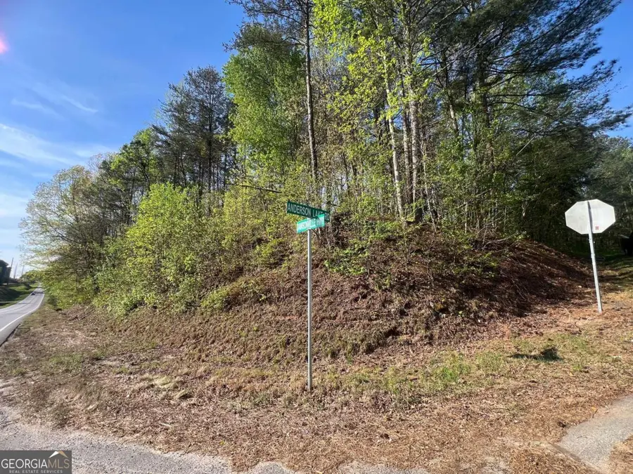 6425 Anderson Lake Road, Dawsonville, GA 30534 - #3