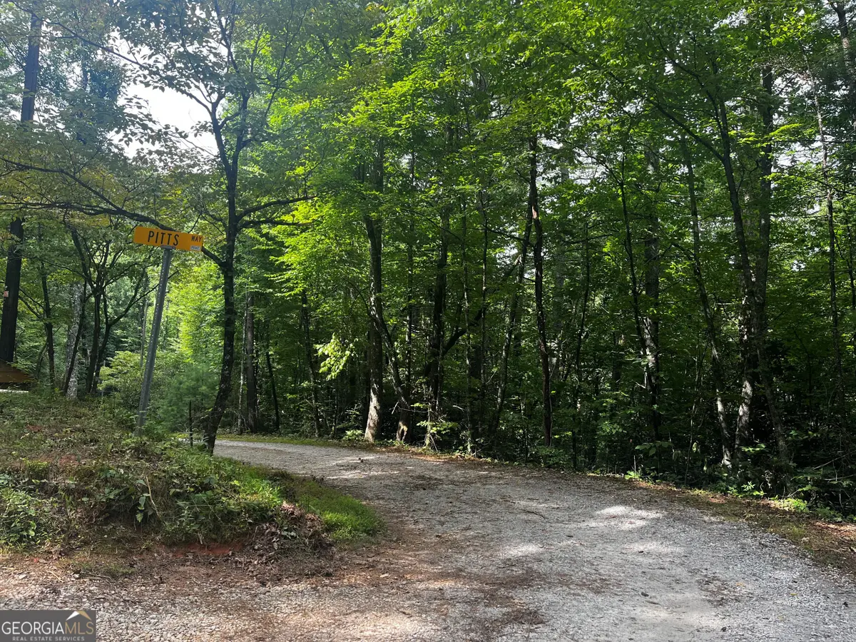 0 Pitts Way, Rabun Gap, GA 30568 - #1
