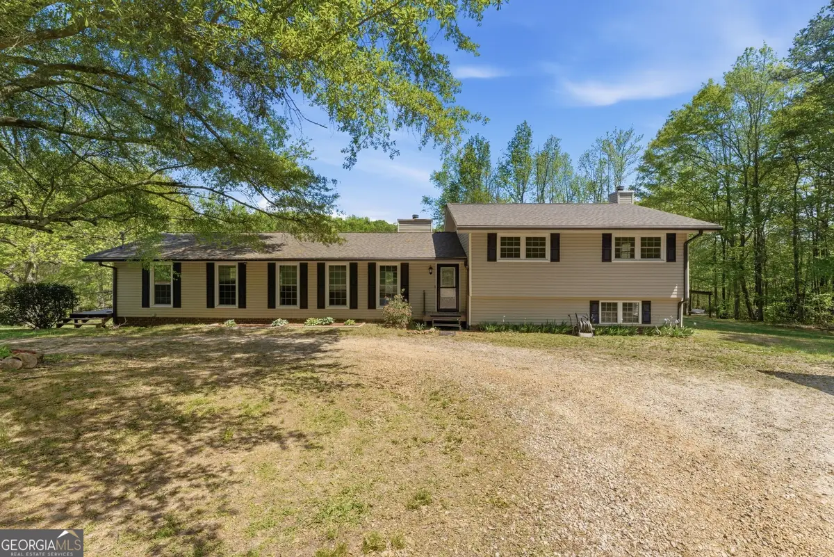 224 Old Franklin Street, Roopville, GA 30170 - #1