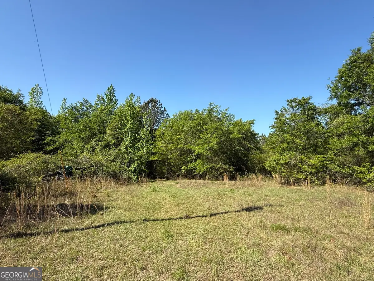 8087 Sandhill Road, Mitchell, GA 30820 - #1