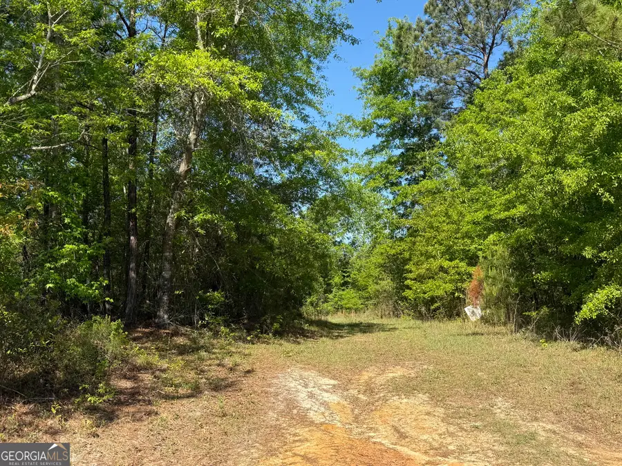 8087 Sandhill Road, Mitchell, GA 30820 - #2