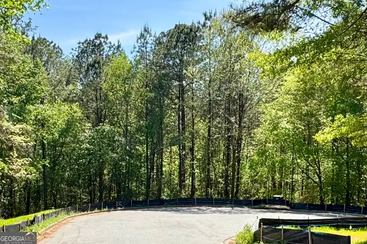 145 Constitution Pointe, Dallas, GA 30132 - #1