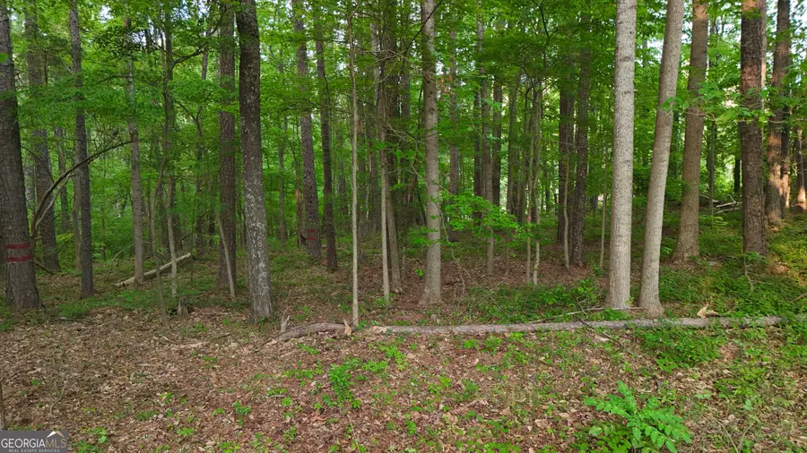 5158 W Holiday Court Se, Acworth, GA 30102 - #2