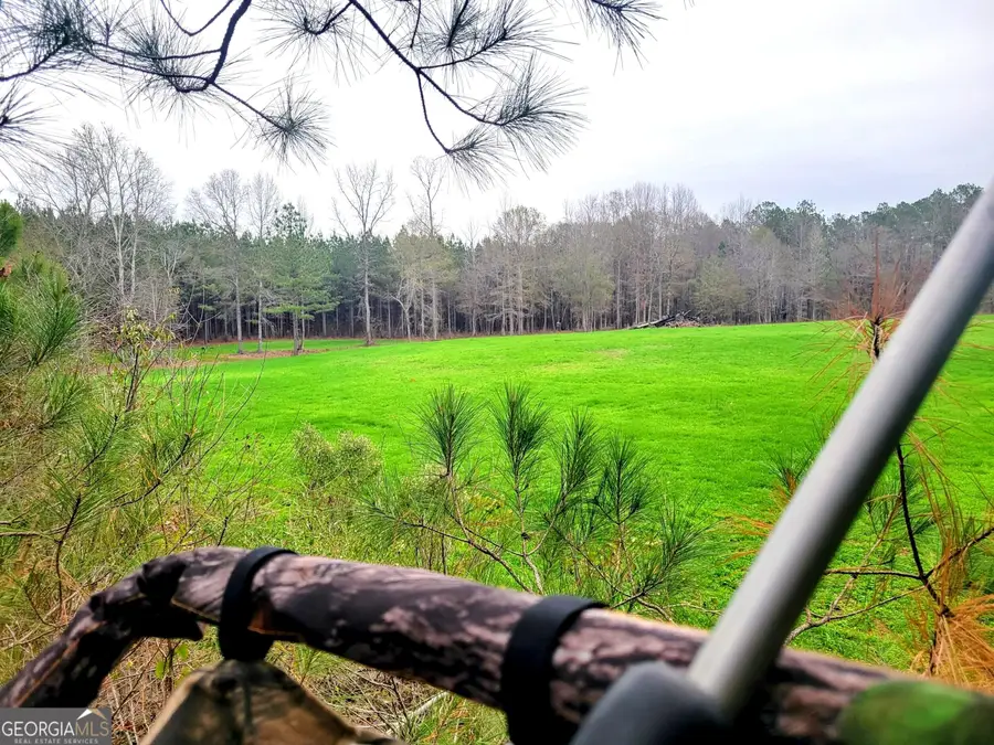 80 Highway, Culloden, GA 31016 - #3