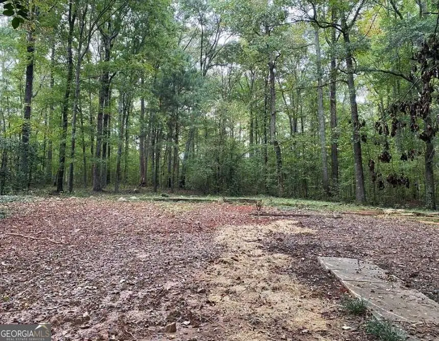 2447 Holly Court #4, Cumming, GA 30041 - #2