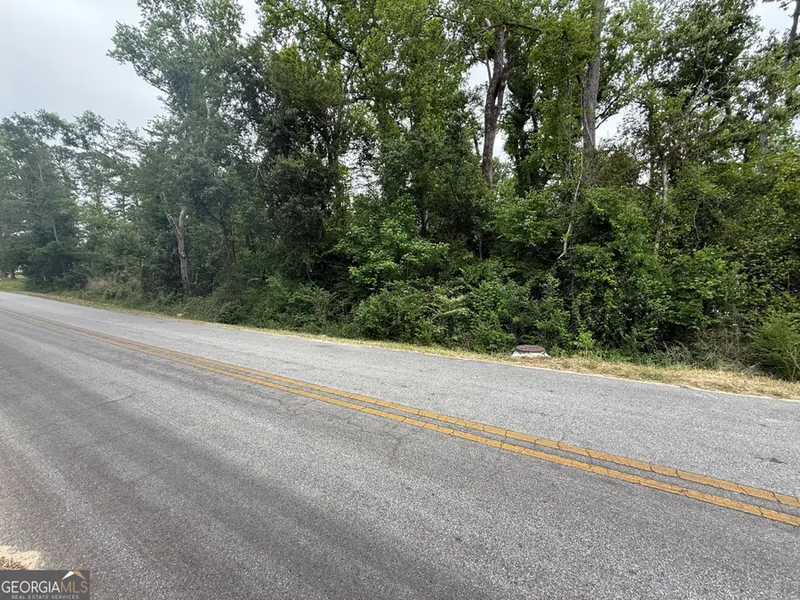 0 Highway 56, Swainsboro, GA 30401 - #3
