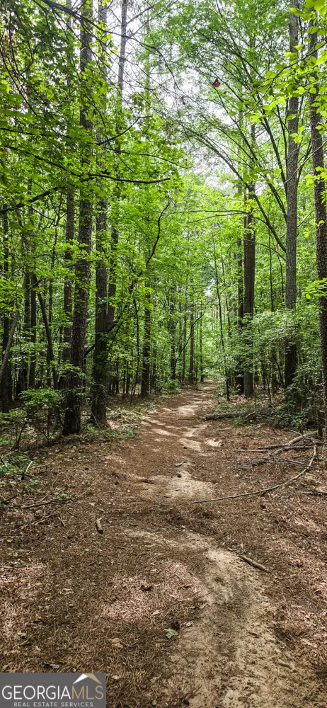 0 Padgett Road, Senoia, GA 30276 - #2