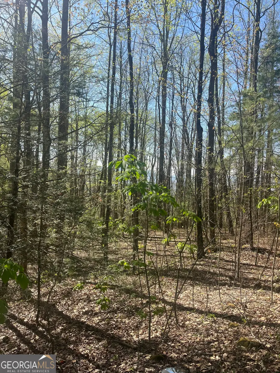 0 Happy Hill, Scaly Mountain, NC 28775 - #2