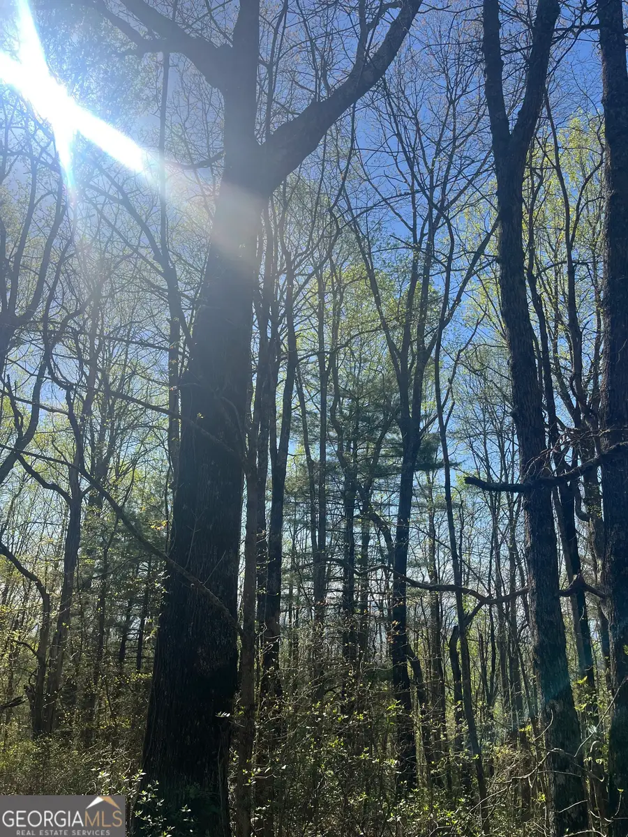 0 Happy Hill, Scaly Mountain, NC 28775 - #3